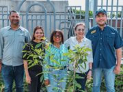 En gestión de Carolina Mejía se han incorporado al sistema de áreas verdes más de 110 mil árboles y plantas