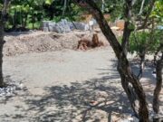 Familia Mañón denuncia Ministerio de Turismo mantiene ocupados terrenos pese a sentencia del TSA