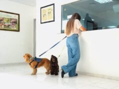 𝗗𝗜𝗚𝗘𝗚𝗔 𝘁𝗿𝗮𝗻𝘀𝗳𝗼𝗿𝗺𝗮 𝘆 𝗮𝗴𝗶𝗹𝗶𝘇𝗮 𝗲𝗹 𝗽𝗿𝗼𝗰𝗲𝘀𝗼 𝗽𝗮𝗿𝗮 𝘃𝗶𝗮𝗷𝗮𝗿 𝗰𝗼𝗻 𝗺𝗮𝘀𝗰𝗼𝘁𝗮𝘀