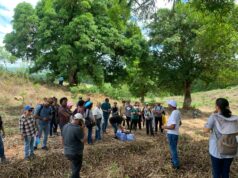 UASD lleva jornada de reforestación a Cevicos como parte de las actividades por su 488 aniversario UASD lleva jornada de reforestación a Cevicos como parte de las actividades por su 488 aniversario
